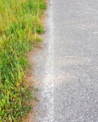 Sodding beautiful shot of the grass on the edge of the road perfect for background