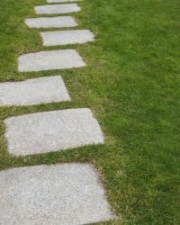 Edging cement walkway in the garden