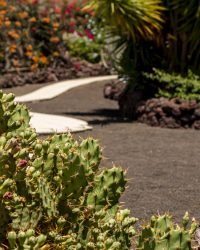 Edging olympus digital camera