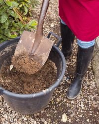 Fertilizing close up woman shoveling large flower pot (1)