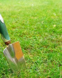 closeup shot of a hand trowel on the green grass