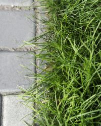 Edging contrasting outdoor textures