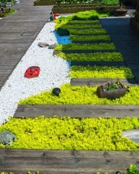 Garden Maintenance grass background