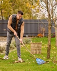 Cleanups joyful man shoveling leaves with garden tools