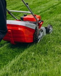 man cutting grass with lawn mover in the back yard