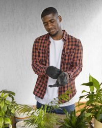 Garden Maintenance man enjoying indoor farming (1)