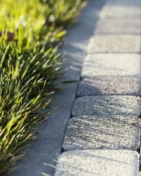 natural grass close up (1)