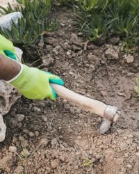 overhead view man s hand digging soil with hoe