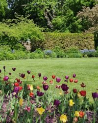 pexels alex ohan 2150877096 32307991