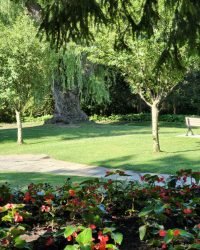 pexels alex ohan 2150877096 32927898