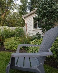 pexels guillaumesoucy 28438160