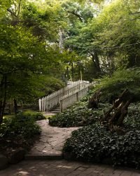 pexels jhonatan c cely 2151040559 31471257