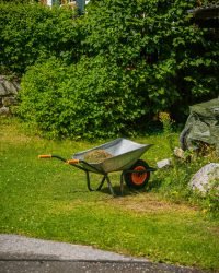 pexels mahmut 33732844