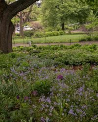 pexels sean ingram 825343707 32096065