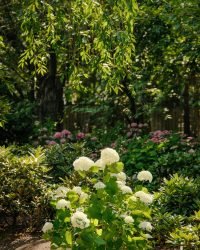 pexels sehjad khoja 2153361540 33402974