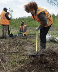 Cleanups reforestation done by voluntary group (1)