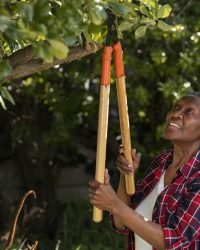 smiley black woman gardening side view