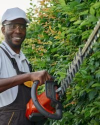 smiling afro gardener using hedge trimmer for cutting bushes