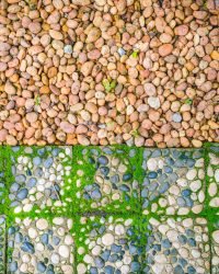 stone walkway with green moss .