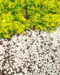 white stone background (texture)