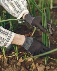 Fertilizing woman in a hat working in a garden