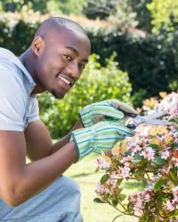portrait of young man cutting flowers in the garden